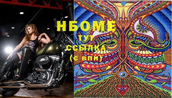 винт Абаза