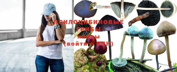 винт Абаза