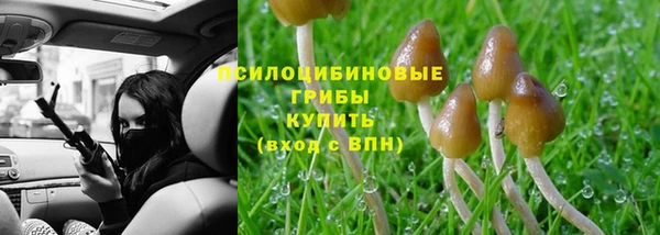 стафф Пестово