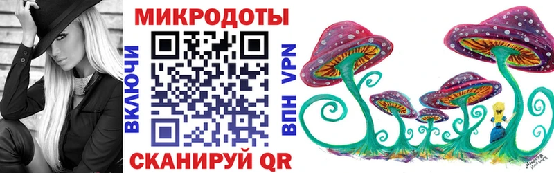 Псилоцибиновые грибы Psilocybe  Ковдор 